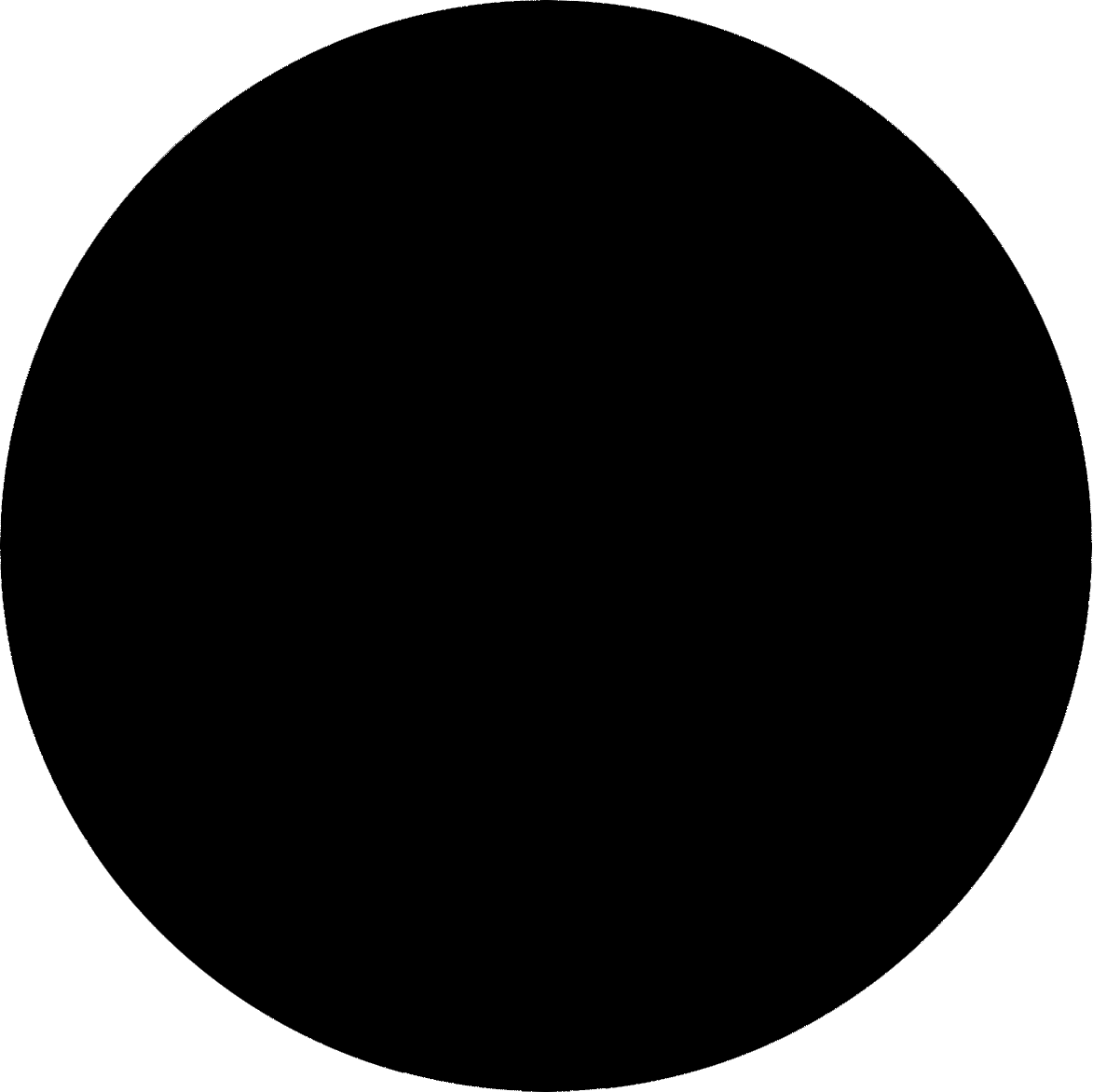 Black Hole