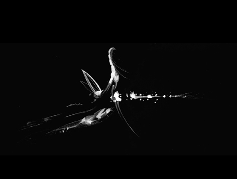Untitled (2007)